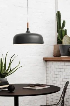 Acorn taklampa, Mattsvart