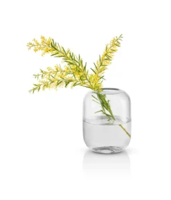Acorn vas 16,5 cm, Clear