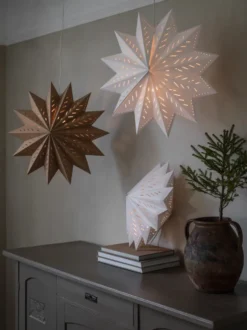 Alfa adventsstjärna brun, Brun, 50 cm