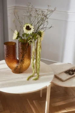 Arura vas hög, Amber