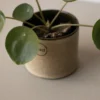 Astillbe kruka small Ø7 cm, Beige