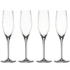 Authentis Champangeglas 19cl, 4-pack, klar