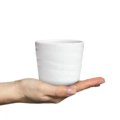 Basic mugg 25 cl, Vit