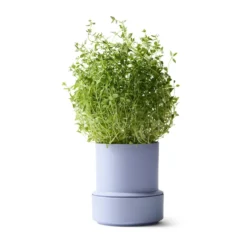 Billund självbevattnande örtkruka, Lavender