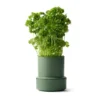 Billund självbevattnande örtkruka, Parsley