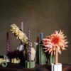 Birgit vas/ljusstake 5 cm, Shell