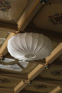 Bladverk plafond, Vit, Ø50x20 cm