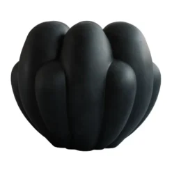 Bloom vas Big, Black