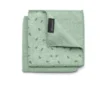 Brabantia trasa microfiber 2-pack, Jade green