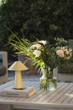 Cannes portabel bordslampa, Havregul