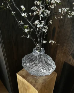 Canyon Large vas 23 cm, Clear