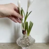 Canyon Mini vas 8 cm, Clear
