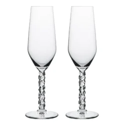 Carat champagneglas 24 cl 2-pack, Klar