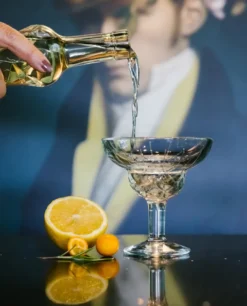 Chicago cocktailglas 6-pack, 21 cl