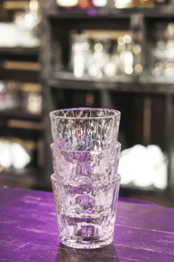 Club No. 22 tumblerglas plast 25 cl 2-pack, Kristallklar