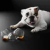 Cognacglas 25 cl, 2-pack