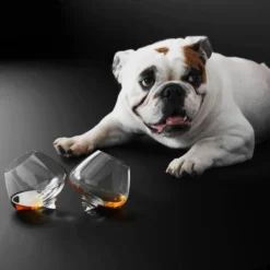 Cognacglas 25 cl, 2-pack