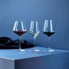 Connoisseur Extravagant rödvinsglas 64,5 cl 4-pack, Clear
