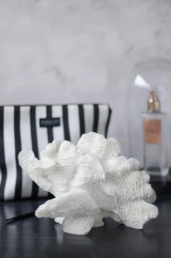 Coral fan, White