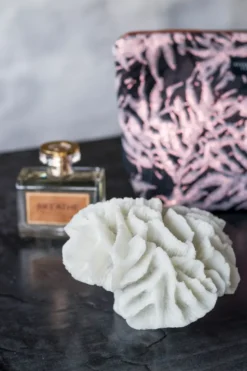 Coral gills, White