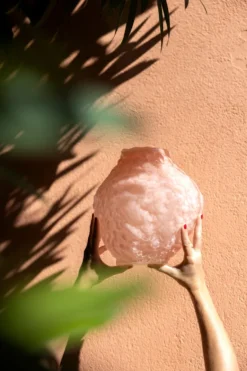 Corallo vas M 26x28x27 cm, Rosa