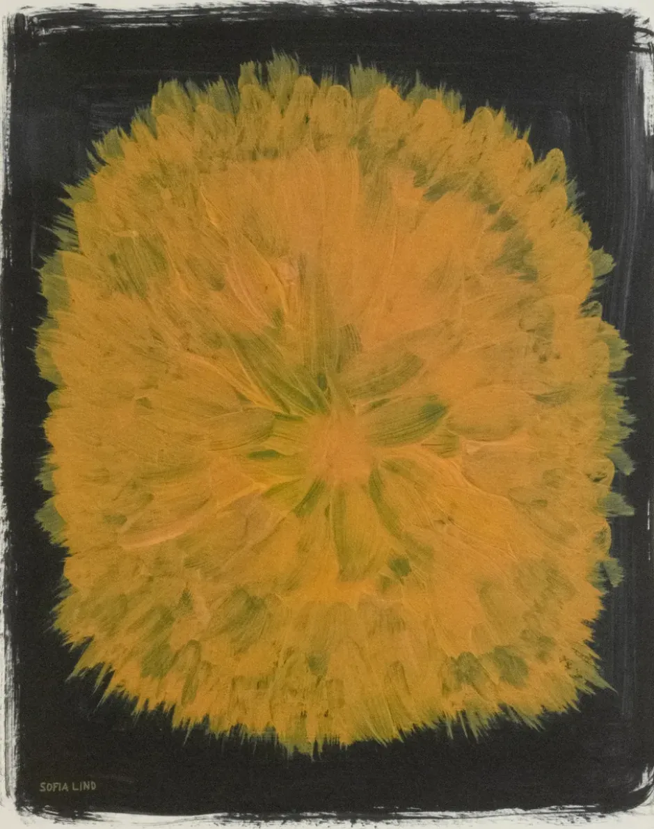 Dandelion poster 40x50 cm, Gul-svart