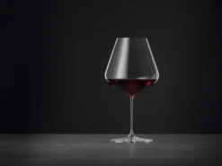 Definition Burgundy rödvinsglas 96 cl 4-pack, Klar
