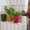 Elise örtkruka Ø11 cm, Vinröd