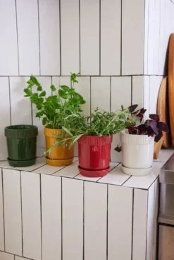 Elise örtkruka Ø11 cm, Vinröd