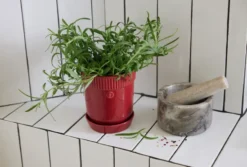 Elise örtkruka Ø11 cm, Vinröd