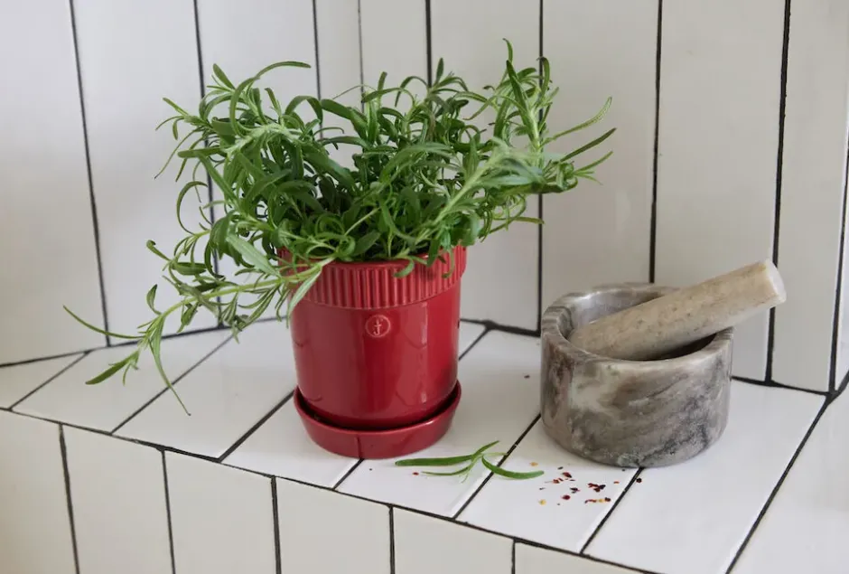 Elise örtkruka Ø11 cm, Vinröd