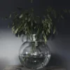Ernst glasvas H22 cm Ø 21 cm, klar