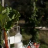 Ernst skål bubbligt glas 2-pack, Klar