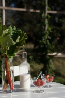 Ernst skål bubbligt glas 2-pack, Klar