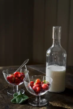 Ernst skål bubbligt glas 2-pack, Klar