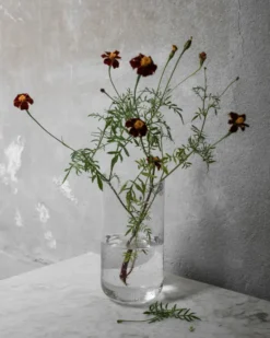 Ernst vas bubbligt glas 25 cm, Klar