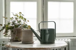 Ernst vattenkanna, Salvia, 3 L