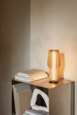 Eva Solo Radiant LED laddningsbar lampa, Oak