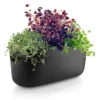 Eva Solo självvattnande herb organiser, Svart