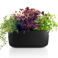 Eva Solo självvattnande herb organiser, Svart