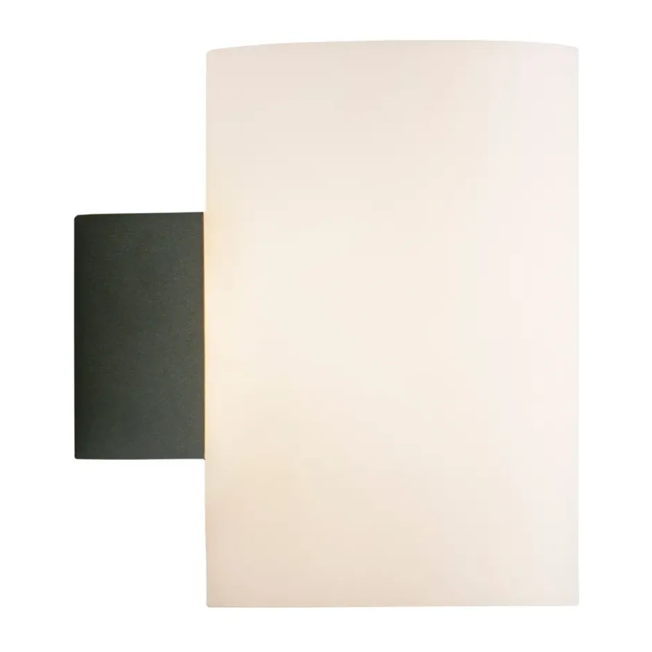 Evoke vägglampa large, Antracit-opalglas