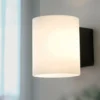 Evoke vägglampa small, Antracit-opal glas