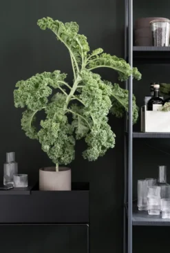 Ferm Living plant box, Black (svart)