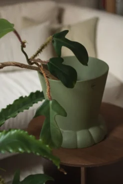 Flora kruka Ø19 cm, Green