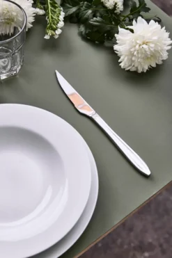 Gastro stekkniv, Rostfritt stål