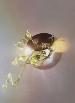 Globe kruka vägg Ø21 cm, Silver