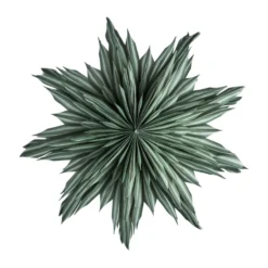 Helena adventsstjärna Ø44 cm, Green