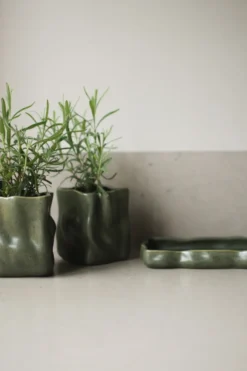 Herb kruka 3 delar, Moss