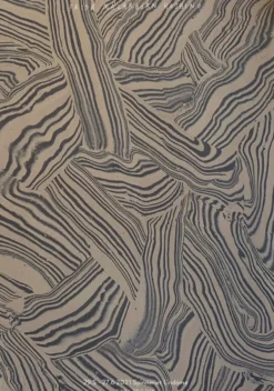 Hoshino utställningsposter, 50x70 cm