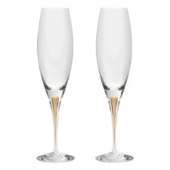 Intermezzo champagneglas 26 cl 2-pack, Guld